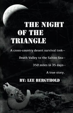 The Night of the Triangle - cover